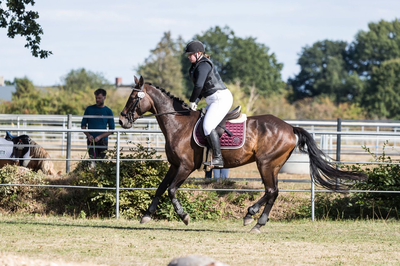 Bild 28 - Pony Akademie Turnier